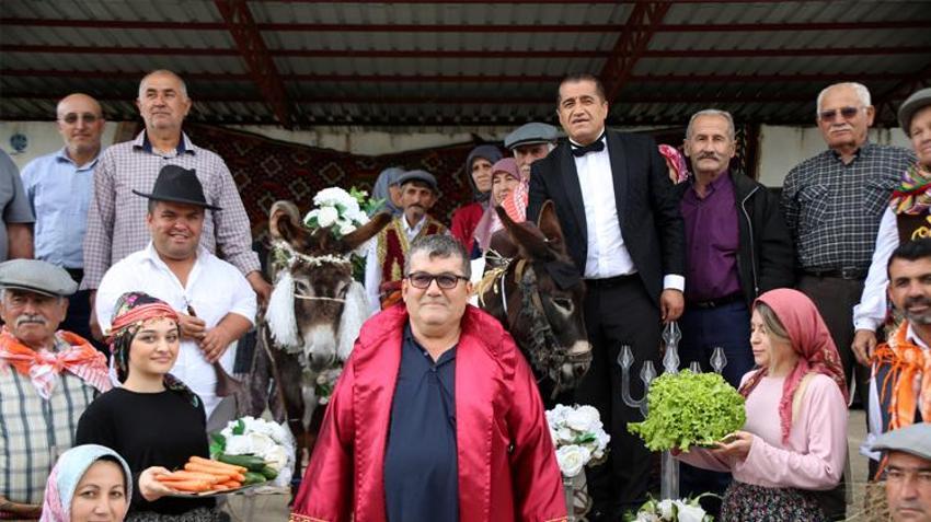 Eşeklere nikah kıydılar, görenler gözlerine inanamadı! O anlar saniye saniye kaydedildi