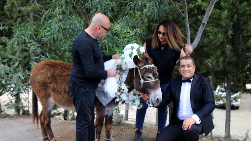 Eşeklere nikah kıydılar, görenler gözlerine inanamadı! O anlar saniye saniye kaydedildi