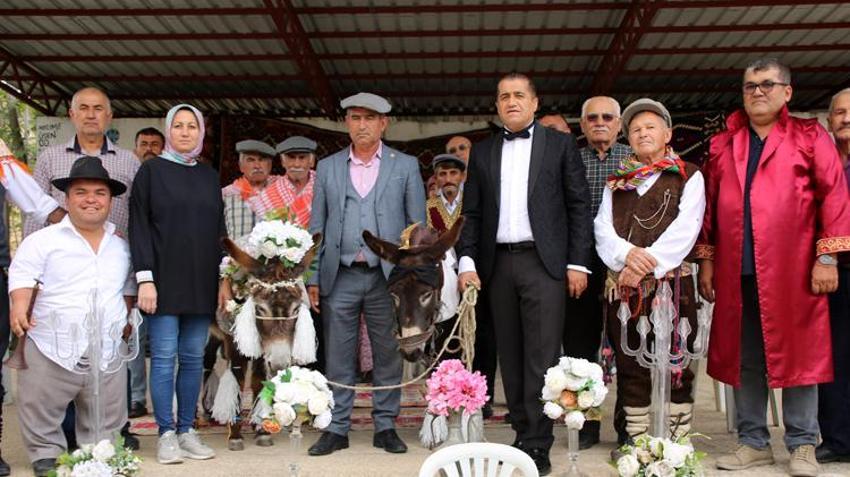 Eşeklere nikah kıydılar, görenler gözlerine inanamadı! O anlar saniye saniye kaydedildi