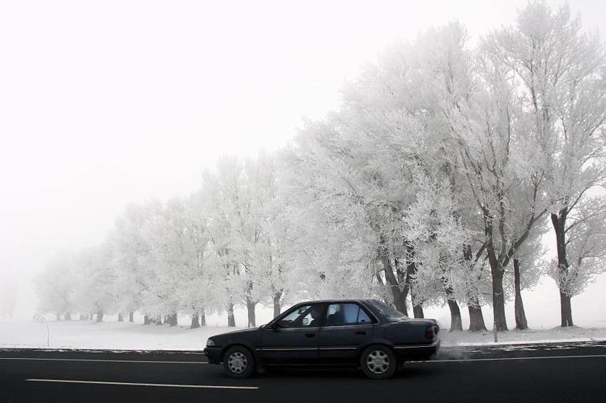 Doğu kara teslim oldu! Mayıs'ta hava sıcaklığı sıfırın altına düştü! Meteoroloji'den yeni uyarı geldi