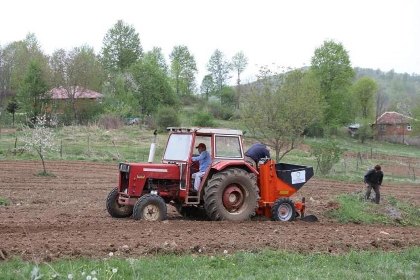 Adana'da yetişiyor, saatlerce tok tutuyor! İşte mucize besin