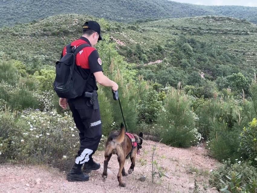Berzeg'in ölüm nedeniyle ilgili Adli Tıp raporu çıktı: Ölüm nedeni 'belirlenemedi'