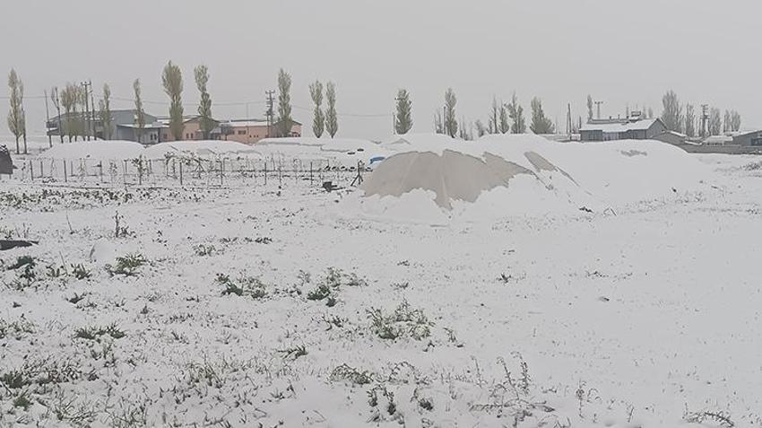 Resmen lapa lapa kar yağdı! Mayıs ayında her yer beyaza büründü, sıcaklıklar sıfırın altına düştü