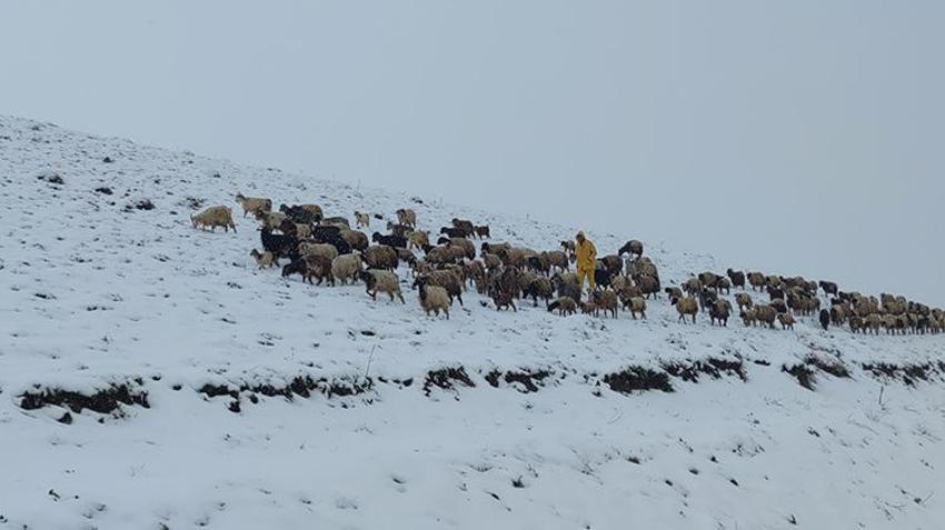 Resmen lapa lapa kar yağdı! Mayıs ayında her yer beyaza büründü, sıcaklıklar sıfırın altına düştü