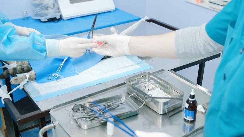 Obez hastalarda da uygulanabiliyor! Uzmanı açıkladı: Haftalarca beklemeye gerek yok
