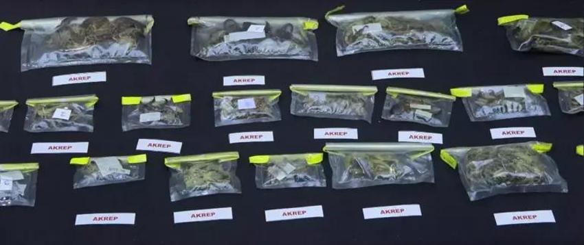 ABD'li profesörün İstanbul'da şok planı! İfadesi ortaya çıktı