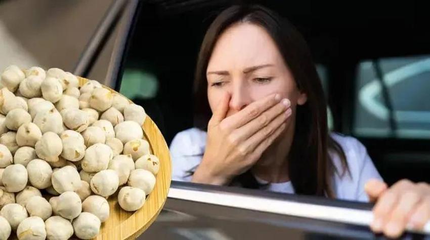 Kuruyemiş tabaklarında en sona bırakılıyor ama Kan temizleyen yapısı riskleri sıfıra indiriyor! Beyaz altın derler, bir avucun protein ve lif deposu sayılıyor