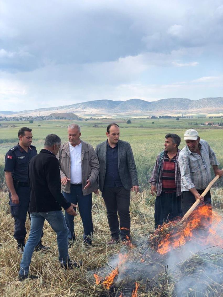 Gaziantep'te geleneksel yöntemlerle yapılan firik hasadı başladı