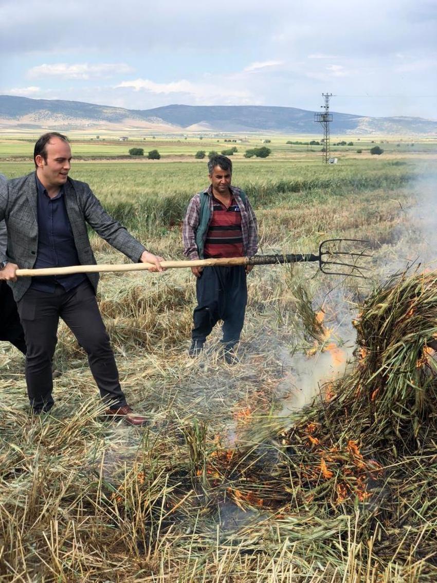 Gaziantep'te geleneksel yöntemlerle yapılan firik hasadı başladı