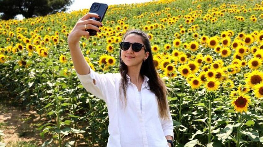Adana’da tarlalar sarıya boyandı! Ekonomik değeri çok yüksek seviyede