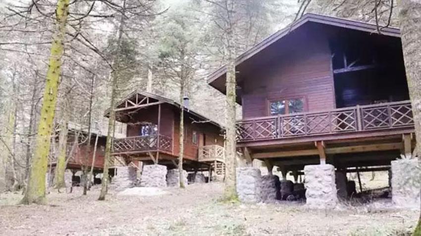 Çay bahçeleri kesilip bungalov yapılıyor! Hemen önlem alınması gerek!