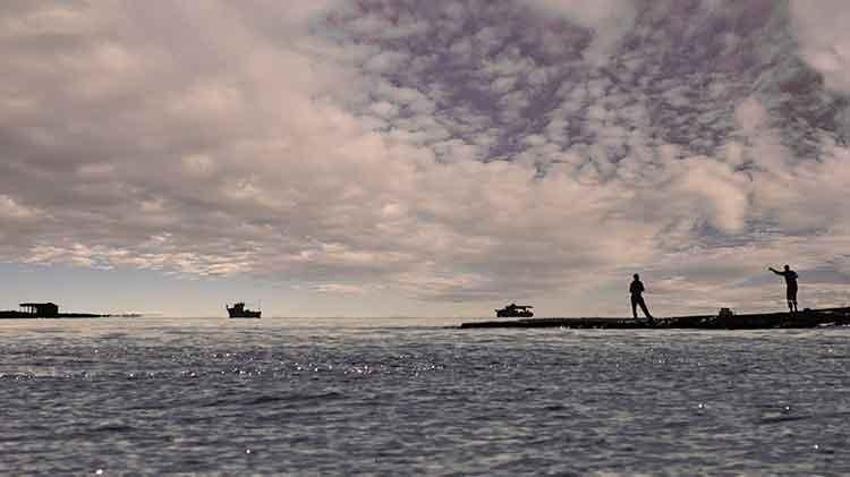 Adana'da bir doğa harikası: Yumurtalık Lagünü