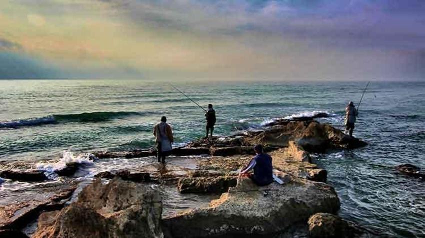 Adana'da bir doğa harikası: Yumurtalık Lagünü