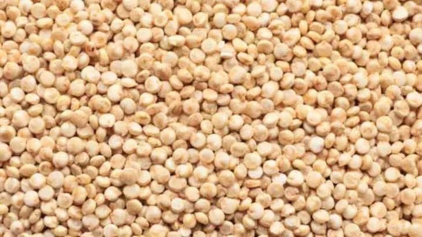 Diyette de kaşık kaşık yeniyor: Kan şekerini bir anda zıplatmıyor! Kinoa nasıl tüketilmeli?