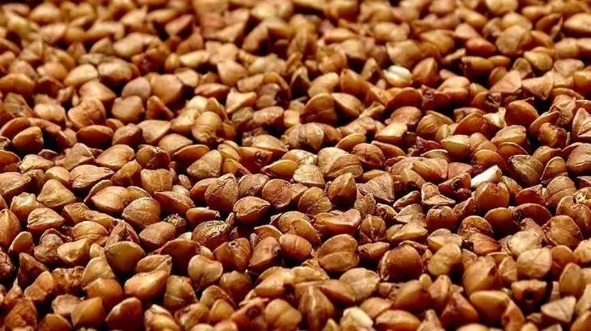 İlk Çinli tıpçılar kullandı, şimdi Türkiye'de revaçta: Bağırsakları tertemiz yapıyor! FODMAPS oranı düşük, kan şekeri dengede kalıyor