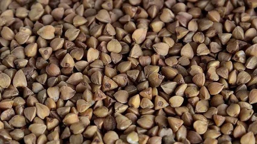 İlk Çinli tıpçılar kullandı, şimdi Türkiye'de revaçta: Bağırsakları tertemiz yapıyor! FODMAPS oranı düşük, kan şekeri dengede kalıyor