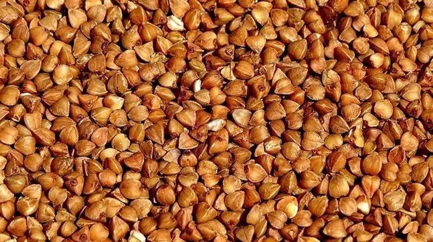 İlk Çinli tıpçılar kullandı, şimdi Türkiye'de revaçta: Bağırsakları tertemiz yapıyor! FODMAPS oranı düşük, kan şekeri dengede kalıyor