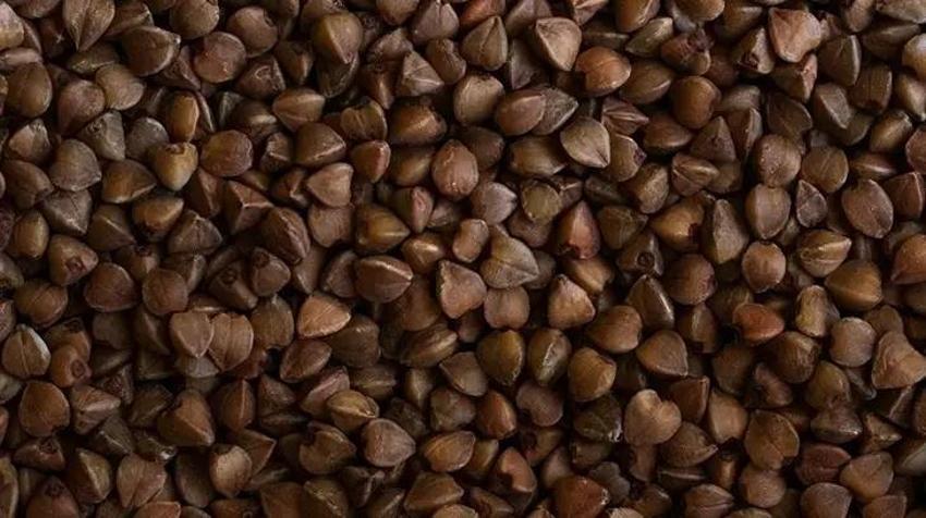 İlk Çinli tıpçılar kullandı, şimdi Türkiye'de revaçta: Bağırsakları tertemiz yapıyor! FODMAPS oranı düşük, kan şekeri dengede kalıyor