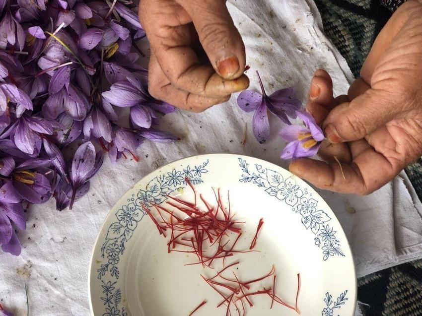 Adana'da üretiyor, Avrupa'ya satıyor! Gram fiyatı 200 liranın üstünde