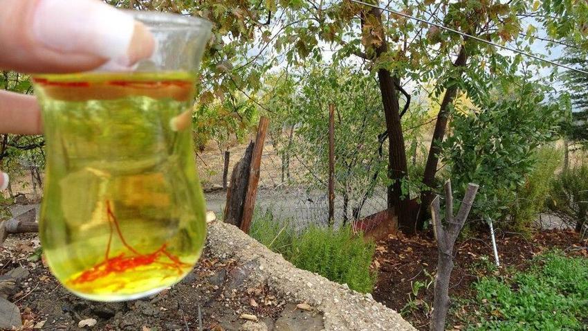 Adana'da üretiyor, Avrupa'ya satıyor! Gram fiyatı 200 liranın üstünde