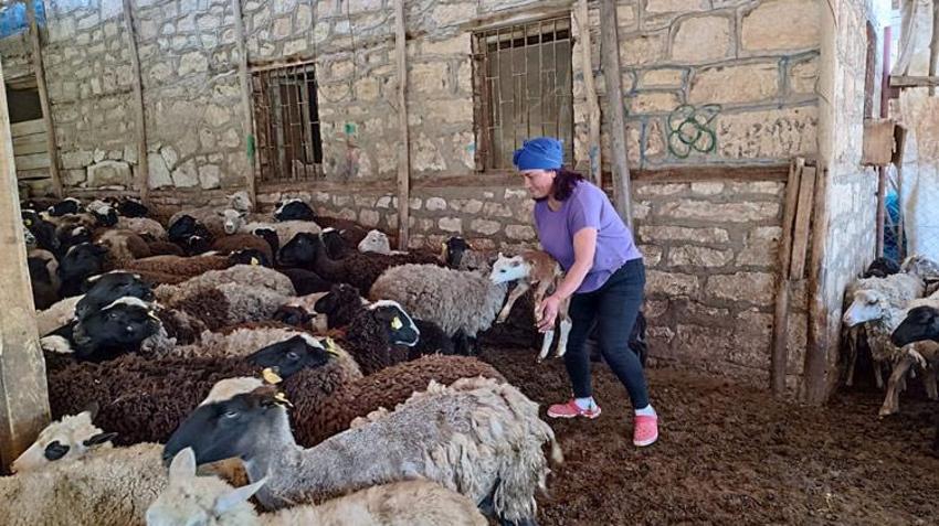 Devlet desteği aldı! Kendi işini kurdu, şimdi paraya para demiyor