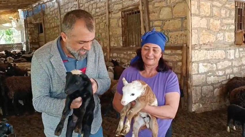 Devlet desteği aldı! Kendi işini kurdu, şimdi paraya para demiyor