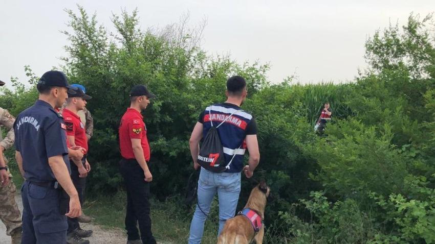 Mısır tarlasında kaybolan çiftçiyi özel eğitimli köpeklerle aranıyor