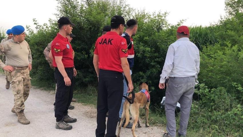 Mısır tarlasında kaybolan çiftçiyi özel eğitimli köpeklerle aranıyor