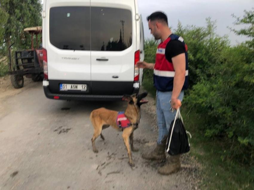 Mısır tarlasında kaybolan çiftçiyi özel eğitimli köpeklerle aranıyor