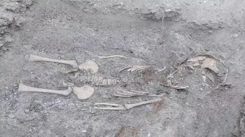 Osmanlı Devleti ile Timur'un savaşında yeni bulgular bulundu! Tarihin seyri mi değişiyor, işte detayları..