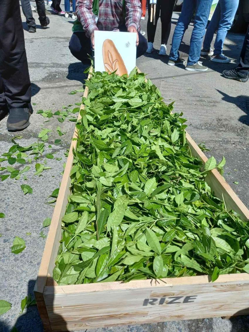 Çay alım fiyatlarına tabutlu protesto