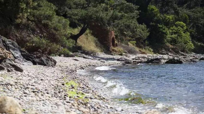 Plajlardaki zararlı mikroorganizma tehdidine dikkat! Ayağına batan deniz kabuğundan bakteri bulaştı