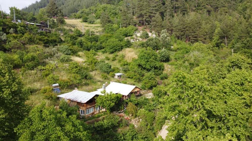 Adanalı emekli öğretmen üretime başladı! Kilogramı 5 bin eurodan satılıyor