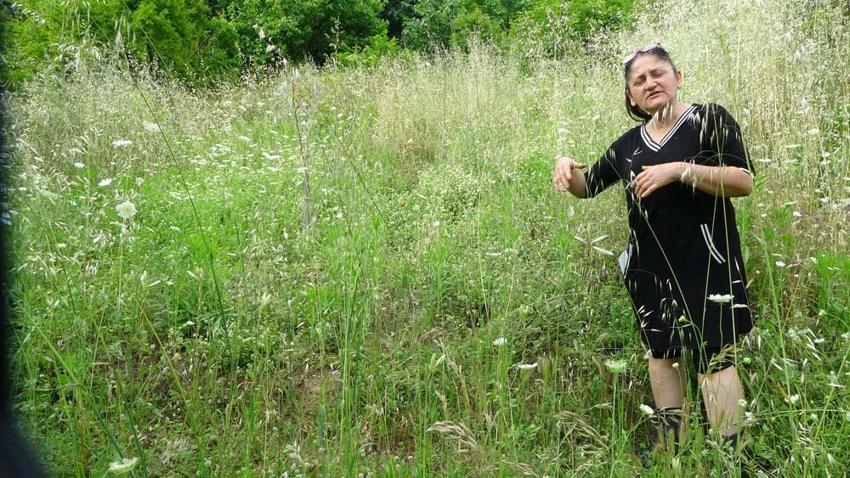 Adanalı emekli öğretmen üretime başladı! Kilogramı 5 bin eurodan satılıyor