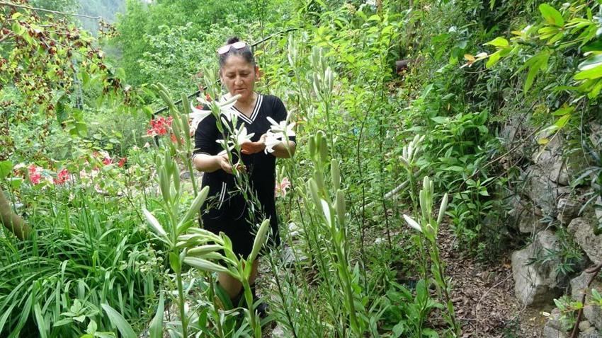 Adanalı emekli öğretmen üretime başladı! Kilogramı 5 bin eurodan satılıyor