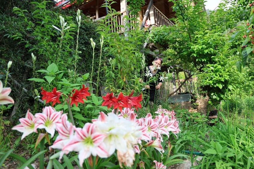 Adanalı emekli öğretmen üretime başladı! Kilogramı 5 bin eurodan satılıyor