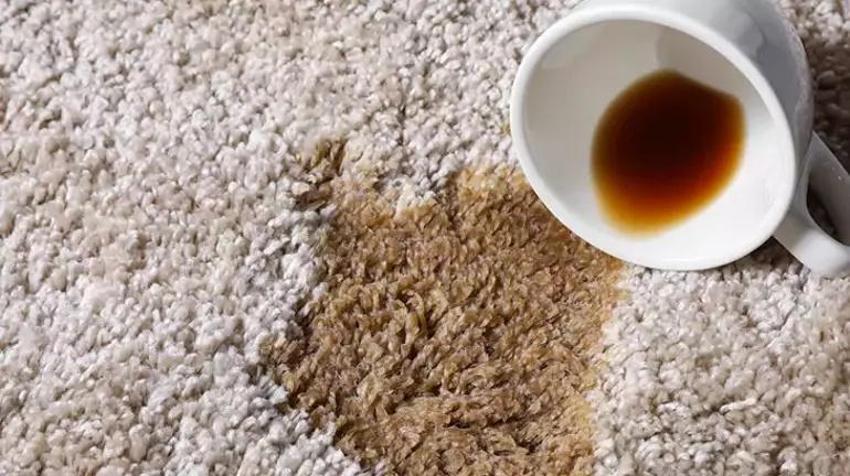 Halıda çay, kahve lekesi tek seferde söken tüyo; Ev hanımları bunu çok yapıyor
