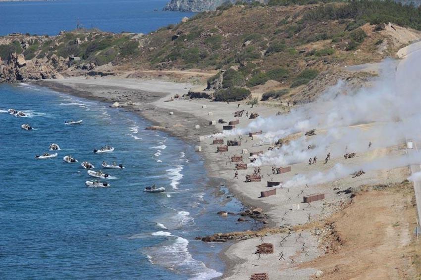 Türk Silahlı Kuvvetleri'nin en büyük müşterek tatbikatı EFES-2024 gündüz safhası başladı