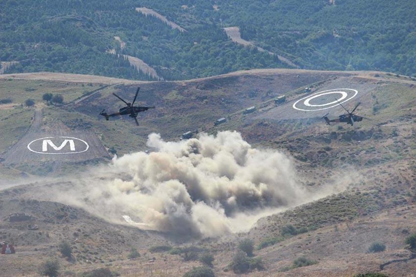 Türk Silahlı Kuvvetleri'nin en büyük müşterek tatbikatı EFES-2024 gündüz safhası başladı
