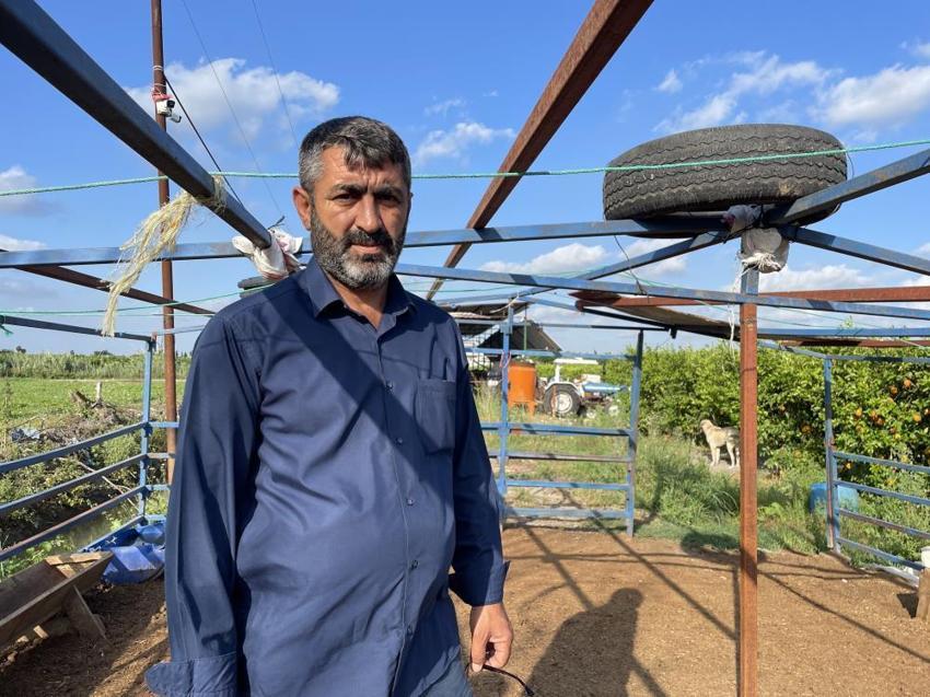 5 Kangal köpeği uyutarak, 45 kurbanlık koyununu çaldılar