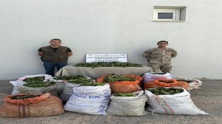 Hakkari soğanlarını İran'a kaçırmak isteyen 3 kişiye 1 milyon 161 bin TL ceza