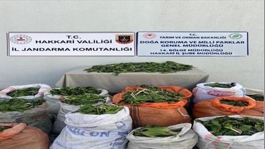 Hakkari soğanlarını İran'a kaçırmak isteyen 3 kişiye 1 milyon 161 bin TL ceza