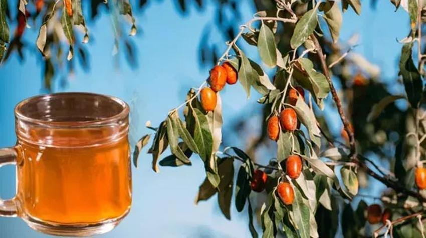 Kuru hali çok seviliyor ama kaynatıp içince karaciğeri tertemiz yapıyor!