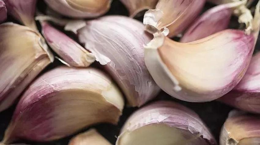 Sivrisinekler uyandı: Isırığıyla uğraşmak istemeyen bu tüyoyla kurtuluyor! Doğal sivrisinek kovar karışımı kulaktan kulağa yayıldı