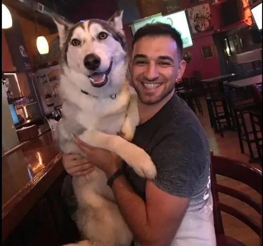 Saldırgan köpek 6 haftalık bebeklerini parçaladı!  Barınakta da rahat durmadı: Dehşet verici anlarda kıpırdamadı bile: "O ana kadar hiç saldırganlığı olmamıştı"