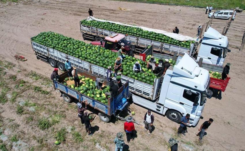 Adana’da karpuz fiyatları 7 liraya düştü! "Havalar ısınınca tüketim bollaşacak"