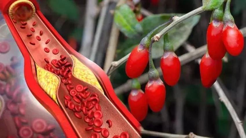 Ruslar tüm dünyaya bu besini yaydı! Damarları sabun gibi temizliyor: Doğal antikor diye nam salıyor