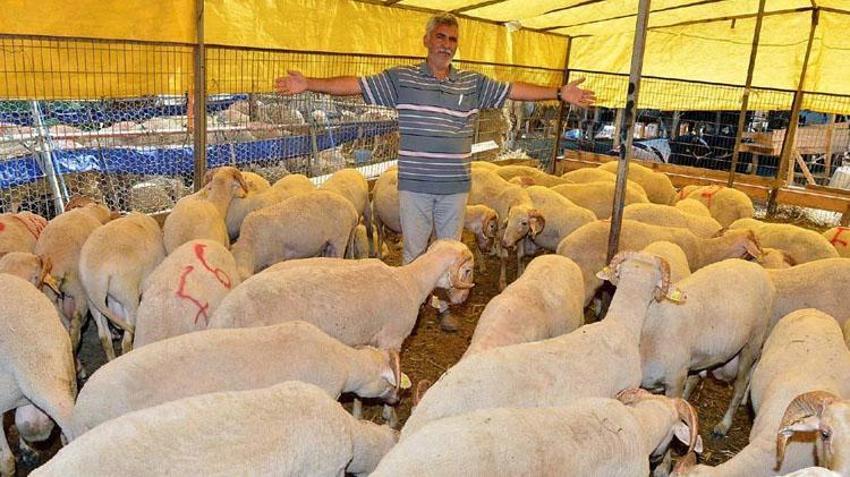 Özel sektör bayram tatili kaç gün 2024, kurban bayramı tatili özel sektörü kapsıyor mu? 9 günlük bayram tatili kimleri kapsıyor, özel sektör 9 gün tatil mi?