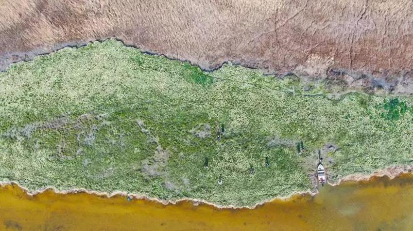 Adana'da vatandaşlar 5 yıl önce keşfetti hemen korumaya alındı! Gizli cennet herkesi büyülüyor