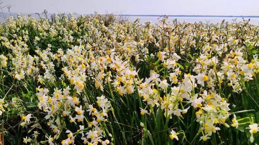 Adana'da vatandaşlar 5 yıl önce keşfetti hemen korumaya alındı! Gizli cennet herkesi büyülüyor